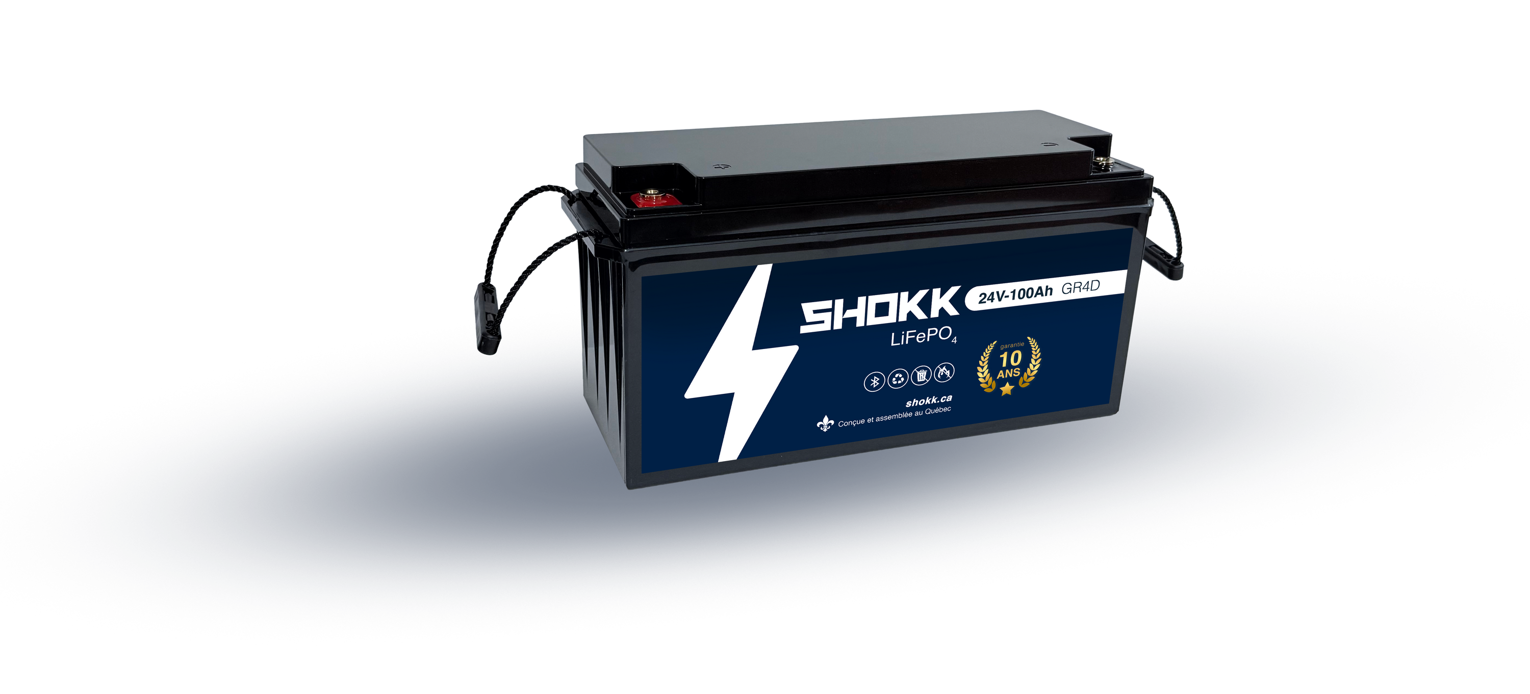 Batterie Lithium 24V 100Ah GR.4D