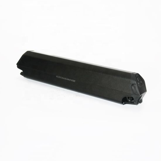 48V DORADO MAX  Li-Ion Battery